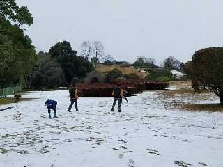 ホームページを公開しました。