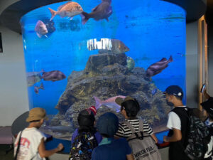 夏休みの活動（ぴーすクラブ✌）～水族館🐡～